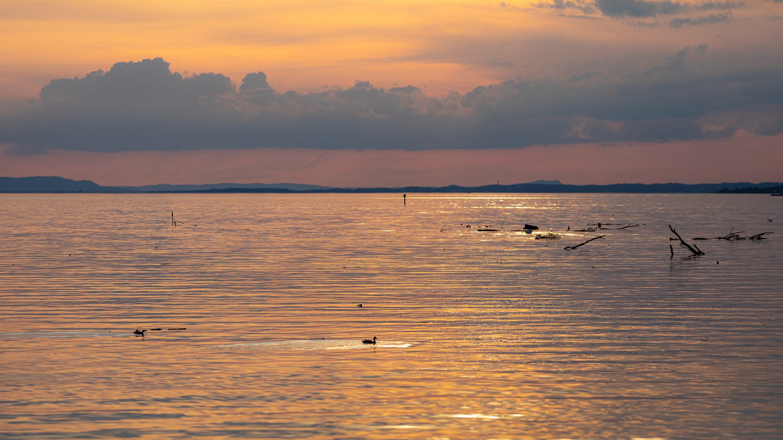 20230506195751 RD4 3878